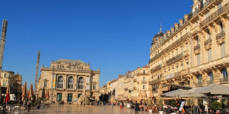 Lire la suite à propos de l’article Chauffeur Privé – Montpellier & Occitanie